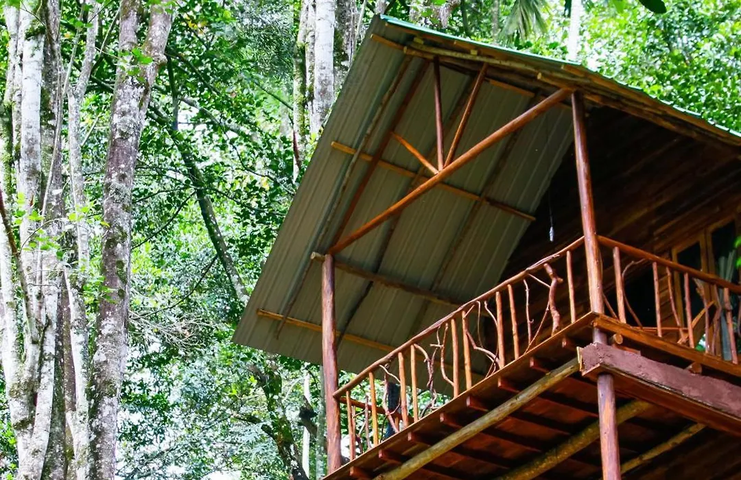Ella Eco Lodge, Wellness & Yoga Retreat-1